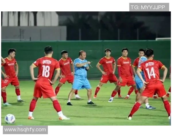 深圳足球队总决赛战术分析与表现评估深入解读 深圳足球队总决赛战术分析与表现评估深入解读